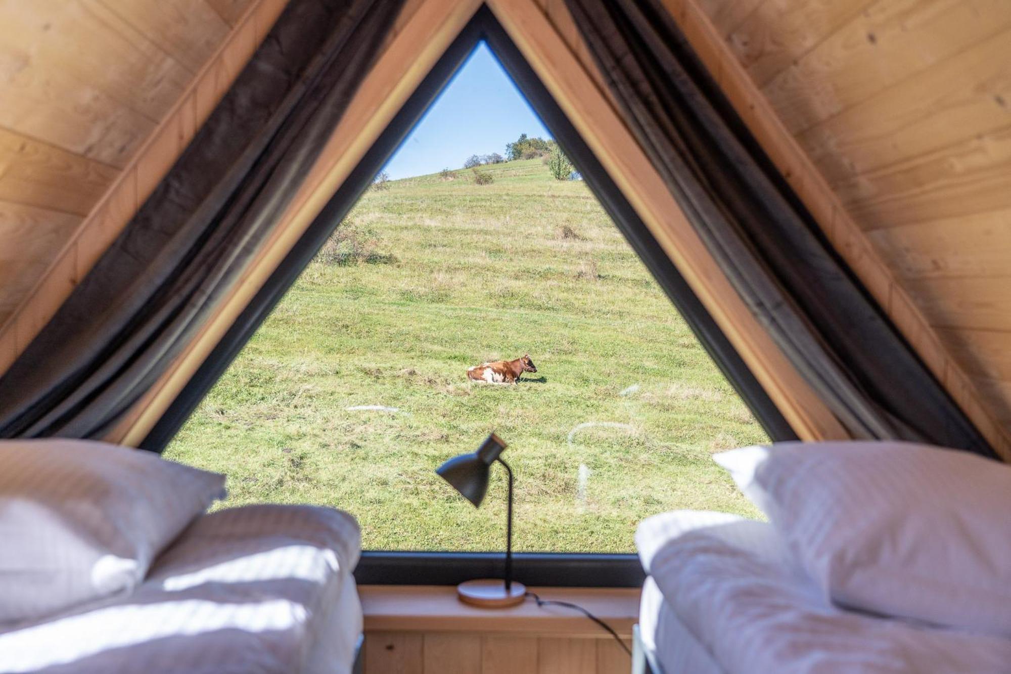 Nydala Eco *